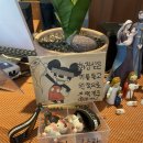 카페엘마르코 | [노량진 데이트]카페엘마르코/ 사이공리 후기