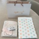 임당지구2 | [임신기록#10] 임신중기일상, 25주차-26주차, 임당검사, 아기옷장당근, 집들이