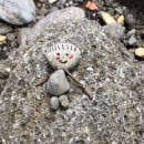 그리는제주in레이지마마 이미지