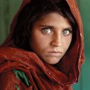 스마트폰 활용 지도사 이미지