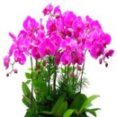 남구-112 이미지