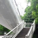 신나무실육교 이미지