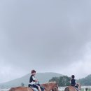 시우글로벌 이미지