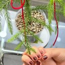 솔담길 | 청주 사창동네일 솔담네일 깔끔하고 지속력좋은 원컬러네일 후기