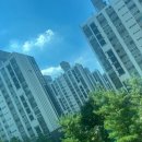2302 | 대전유리창청소, 캔디크리닉과 함께한 하루의 변화