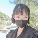 미스터스시강 네이버블로그