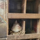 승모농장 이미지