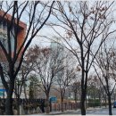 워라밸 게스트하우스 | 송도웰카운티3단지 아파트, 바다·공원·역세권 삼박자를 누리는 리얼 후기 🌊🏙️🚉