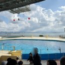 아이월드 | 아이와 함께 후쿠오카 마린월드 후기