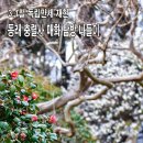 동래 3.1절 독립만세 재현행사와 충렬사 매화탐방 나들이 이미지