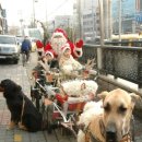 열린창의어린이집 이미지