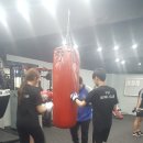 공도 김명곤 복싱 다이어트짐 네이버블로그