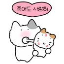 제이케이두피부띠크(JK두피부띠크)