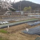 나들농장 이미지