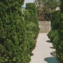 홀리호랑 이미지