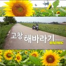 고창해바라기 투어 - [2014.8.5] - 라이더케이 이미지