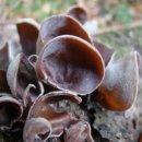 하영올레 2코스 | 하영올레2코스