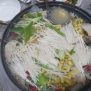 낙원볼태기 이미지