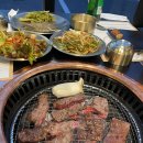 우테일러 이미지