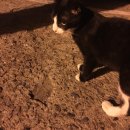 재흥시장 이미지