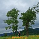 황산공원(황산B) 이미지