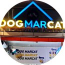 도그마캣군포 | 군포산본역 24시 무인 반려동물용품 도그마캣(DOGMARCAT)