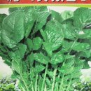 대농농약사 이미지