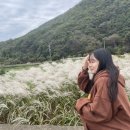 무수목장 이미지