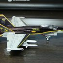 F/A-18C Hornet VFA-115 Special painted version (에이스 kit + Revell decal) 이미지