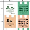 평택시, 종량제봉투 색상 변경 및 디자인 개선 추진 이미지