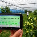 스마트하우스 이미지