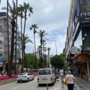 2030 | 터키 세미패키지 2030 후기 튀르키예 노쇼핑