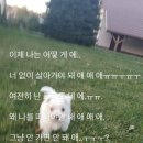 댓츠이지 이미지