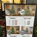 가리점 하우스 | 다이소, 모던하우스 크리스마스 용품 가격비교, 추천 및 후기_3탄 모던하우스 용품 크리스마스트리 꾸미기