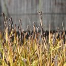 괘릉초등학교 이미지