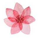 러블리펫샵 이미지