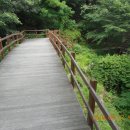 솔바람교 옹달샘 이미지