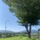 돈스간스 이미지