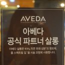 더카리스 헤어살롱 네이버블로그