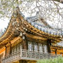 둔대동 박씨 고택 이미지