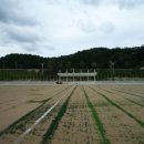 축구장 본부석 이미지