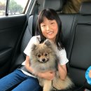 와우 동물병원 이미지