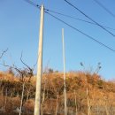 유곡농장 이미지