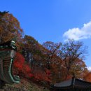 대관령 농장 이미지