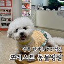 동물진료법인 포레스트 이미지