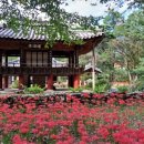 숲옛마을(갈계) 이미지