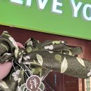 포쉬네일반포서래점 | 서울 당일치기 데이트 | 동묘, 종로, 한남, 반포, 명동 다털어!