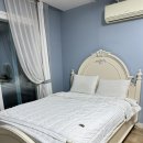 GS25  남해은모래점 | 남해 상주 은모래비치 오션뷰 숙소 추천 하모니 펜션 로즈마리룸 연박 이용후기