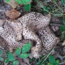 골짜기농장 이미지