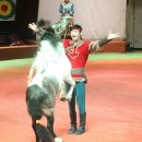 포니제주 이미지